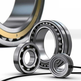1077587/2 SKF