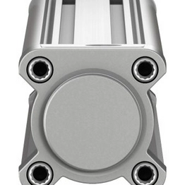 FESTO DSBC-50-100-PPSA-N3 image