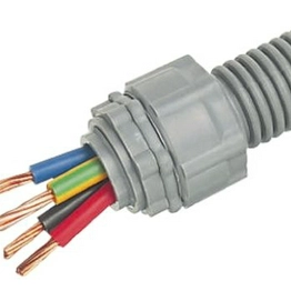RS 429666 image