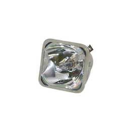 WW-L30B-0 International Lighting