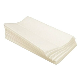 2350-100 TECHSPRAY