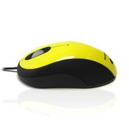 MOU-IMAGE-YELLOW Ceratech Accuratus