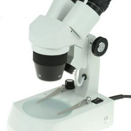 RS 4718834 image