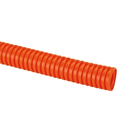 CLTS62F-C3 PANDUIT