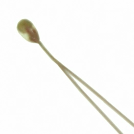 B57540G0303F000 TDK