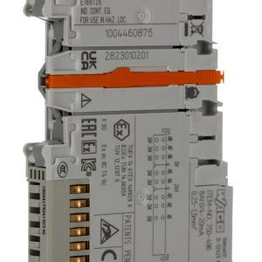 WAGO 750-496 image